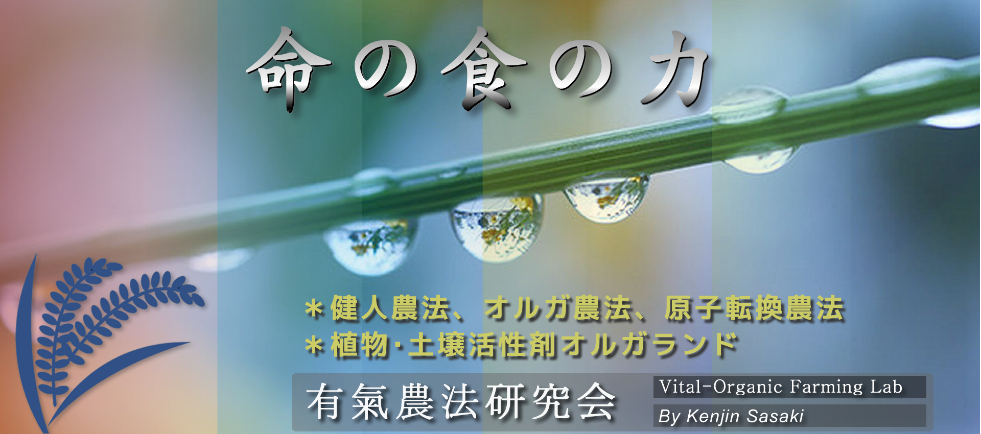 佐々木健人-OFFGIAL WEB SITE-トップ2